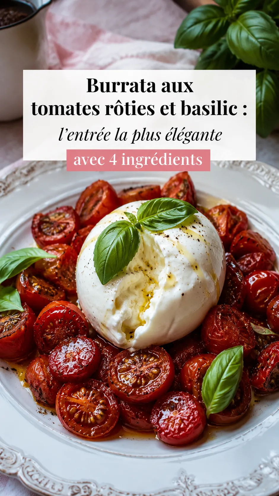 Burrata aux tomates rôties et basilic : l'entrée la plus élégante avec 4 ingrédients
