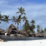 Les Plages Paradisiaques de Zanzibar : Entre Relaxation et Aventure