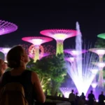 Terra Botanica : Quand le Spectacle Nocturne Illumine la Nature